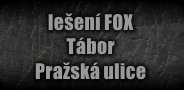 fox_taborp_off.png, 24kB