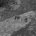 img088_small_off.jpg, 24,4kB