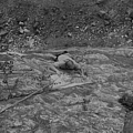 img106_small_off.jpg, 24,4kB